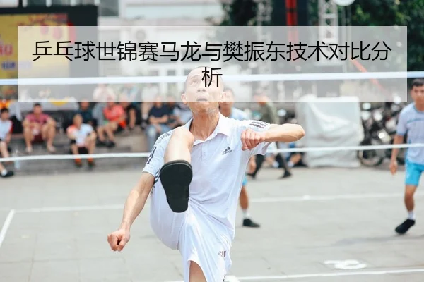 乒乓球世锦赛马龙与樊振东技术对比分析