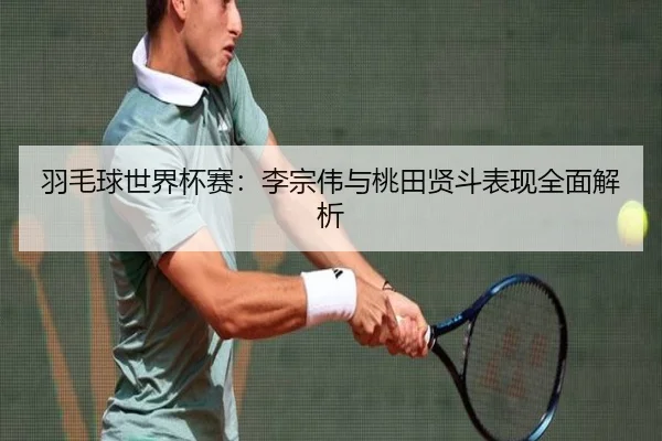 羽毛球世界杯赛：李宗伟与桃田贤斗表现全面解析